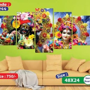 Sonatani Canvas,code 244